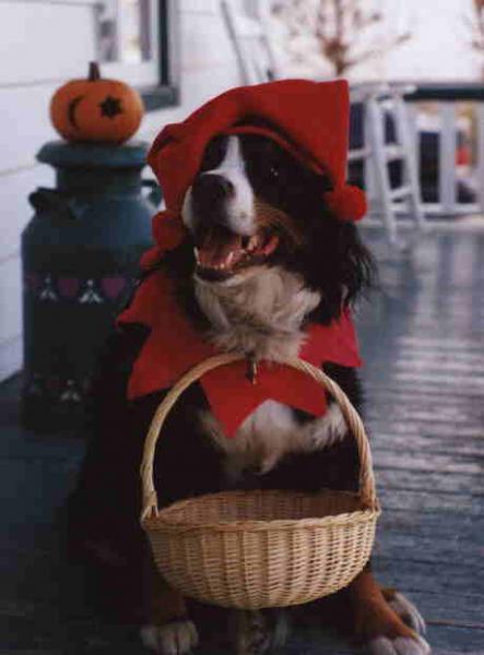 Aider � d�fendre nos amis